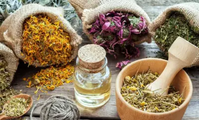 Il benessere con la natura e i suoi doni: VIVI TESINO