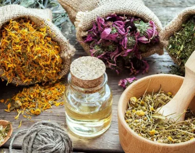 Wellness with nature and its gifts: LIVE TESINO